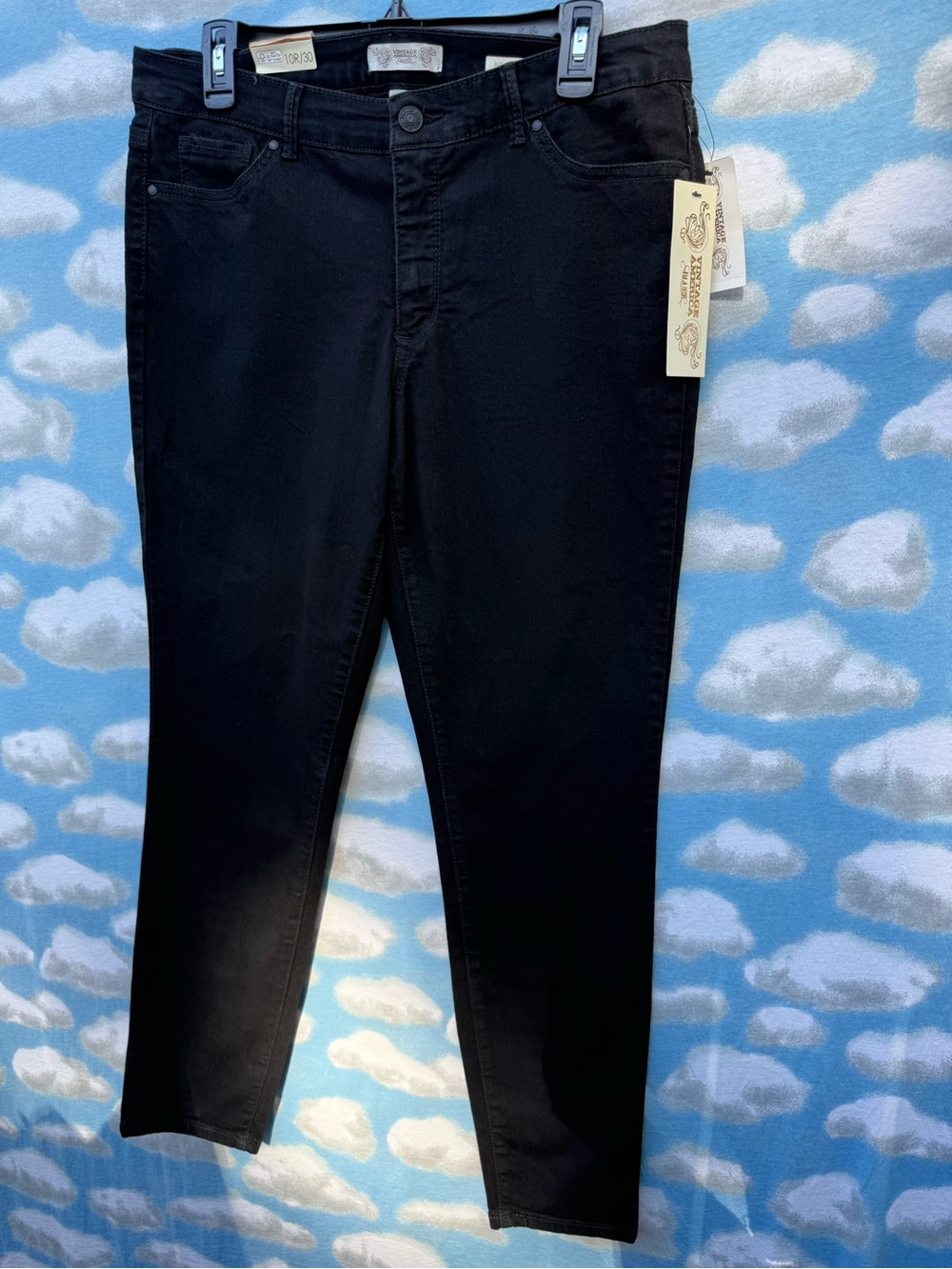 NWT Vintage America Blues Boho Skinny Jeans 10R